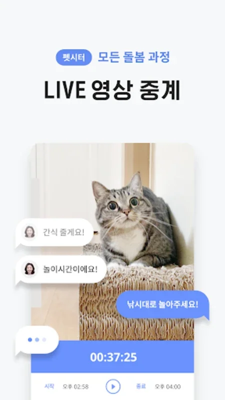 와요 - 펫시터, 훈련사, 그루머 for Android: All-in-One Pet Care