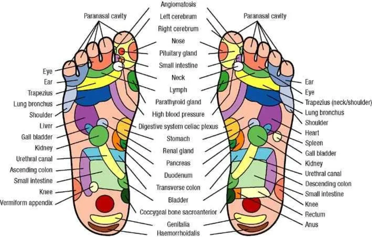 Foot Reflexology for Android - A Guide to Wellness