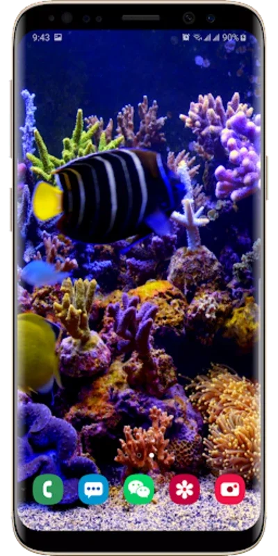 Real Aquarium Live Wallpaper for Android - No Downloading Needed