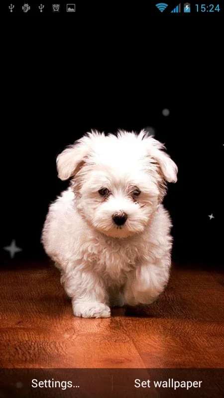 Puppy Live Wallpaper for Android - Charming Wallpapers