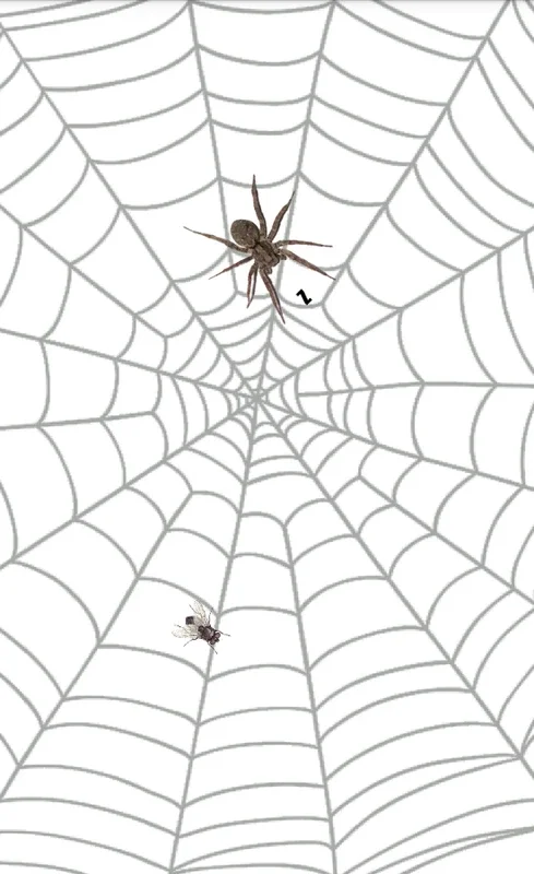 Spider for Android - Engaging Spider Web Game