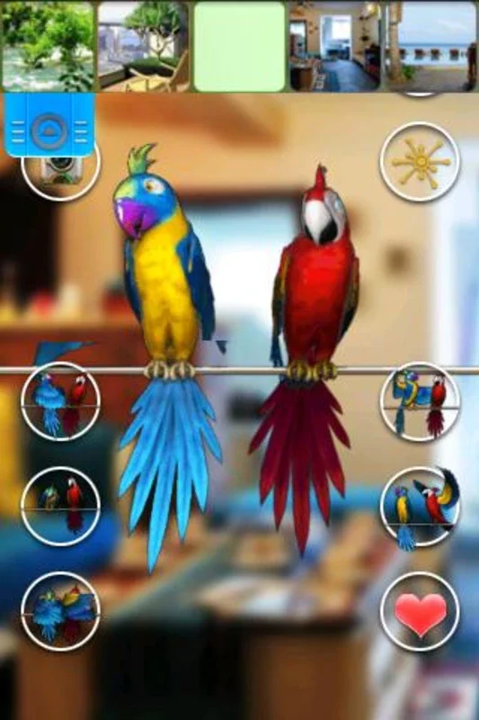 Talking Parrot Couple Free for Android - No Downloading Required