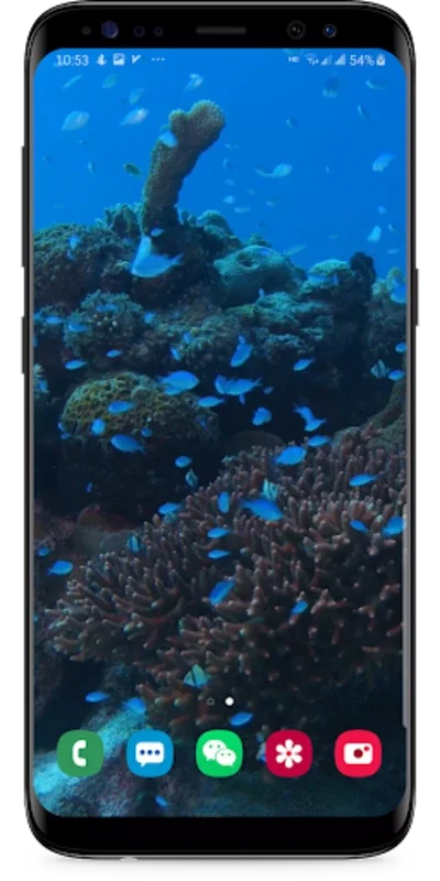 Real Aquarium Live Wallpaper for Android - No Downloading Needed