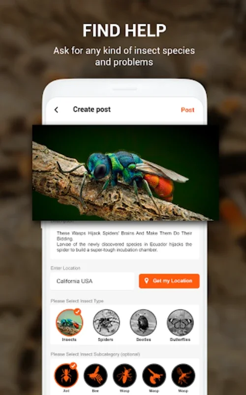 Insect identifier by Photo Cam for Android - Download the APK from AppHuts