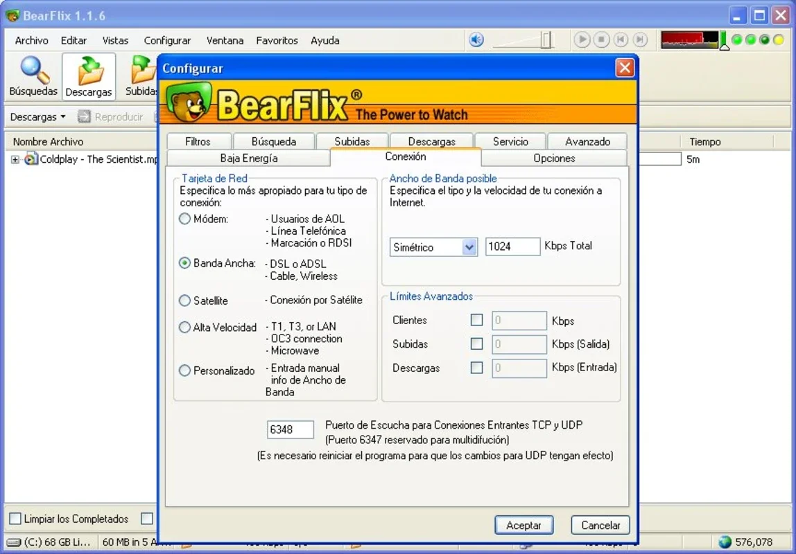 BearFlix for Windows: Efficient Video Sharing