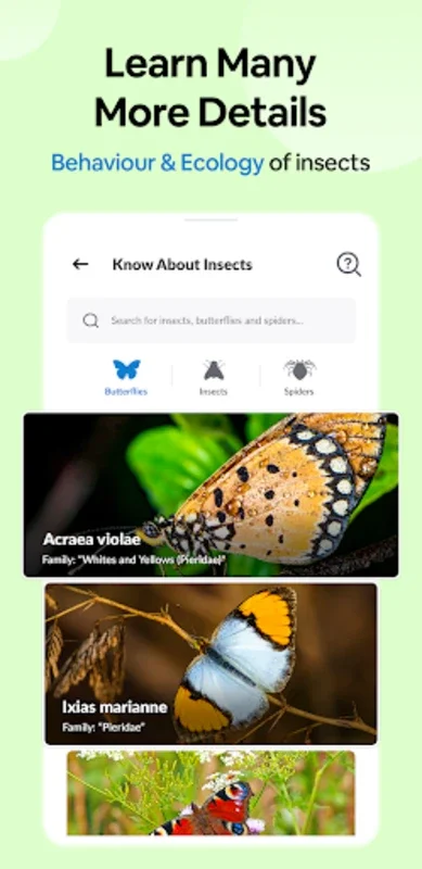 Insect Spider & Bug identifier for Android - No Downloading Needed