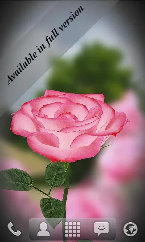 3D Rose Live Wallpaper Free for Android - An Interactive Visual Experience