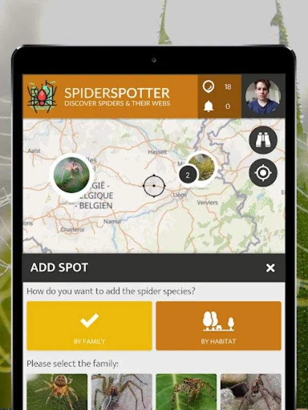 SpiderSpotter | SPOTTERON for Android: Unveiling Urban Spider Adaptability