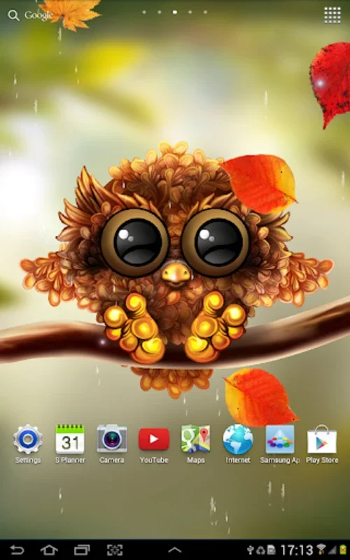 Autumn Little Owl Wallpaper for Android - Charming Wallpapers