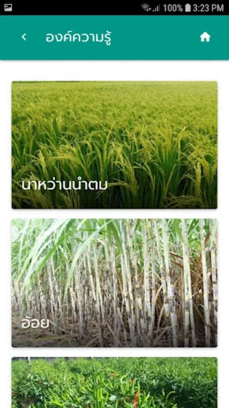 มุมหมอพืช for Android - Sustainable Farming and Plant Care App