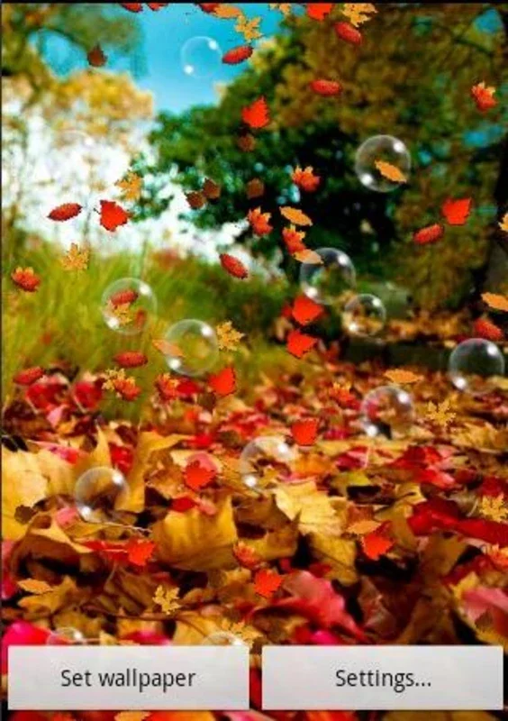 Autumn Live Wallpaper for Android - Immerse in Fall Beauty