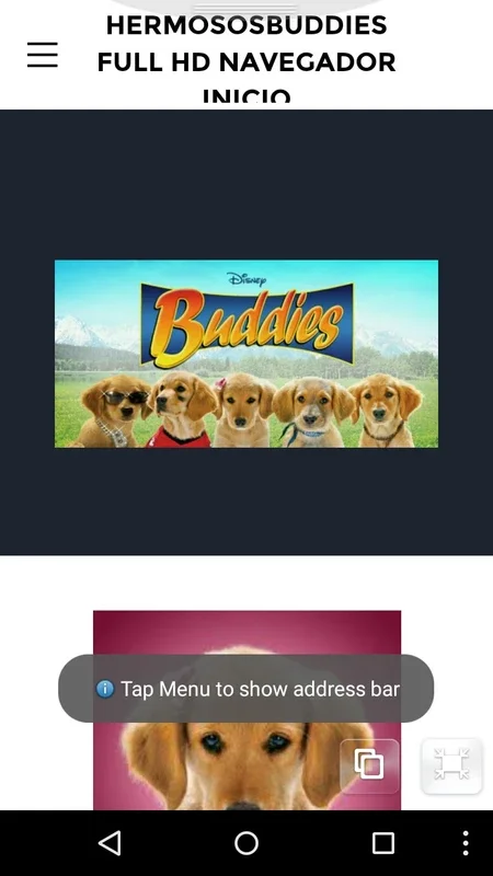 Buddiesbrowser for Android - A Dog - Themed Browsing Experience