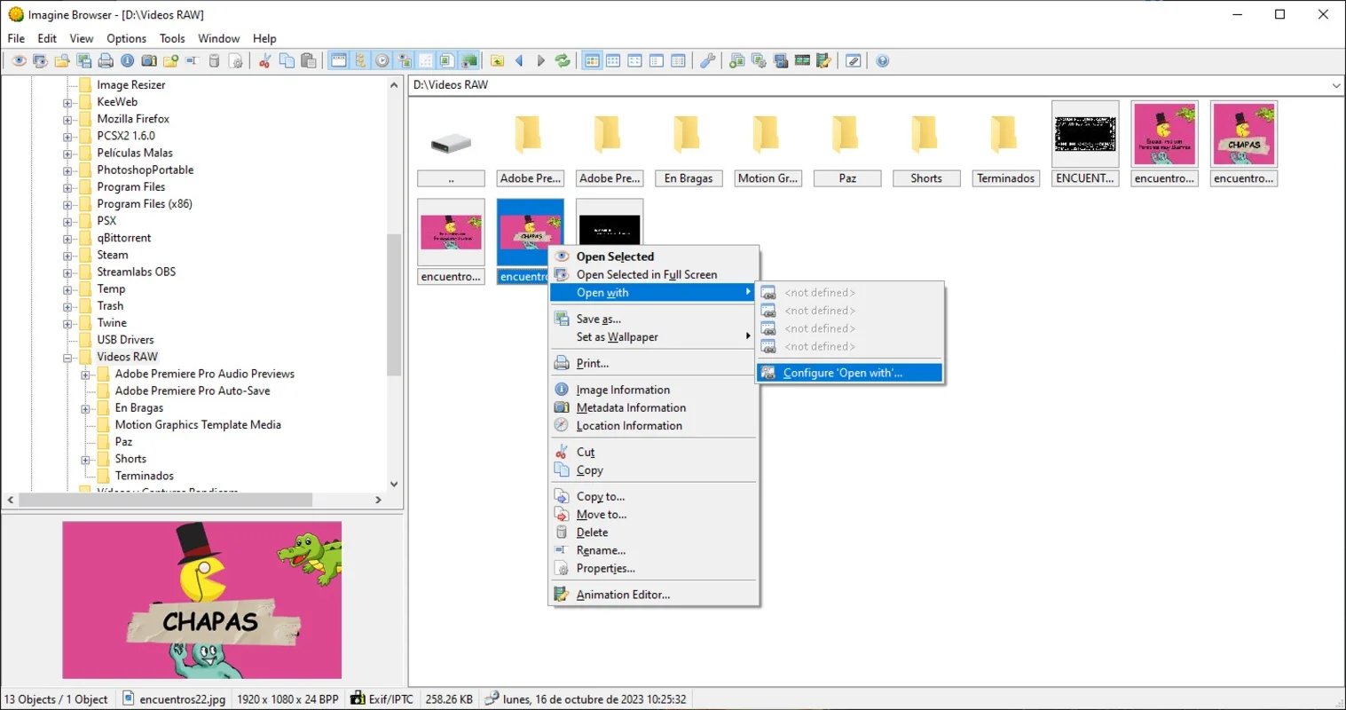 Imagine for Windows: A Feature - Rich Image Viewer