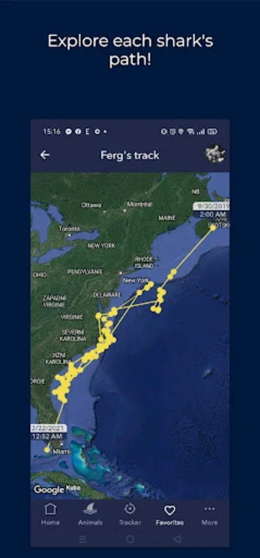 Shark Tracker for Android: Track Sharks Live