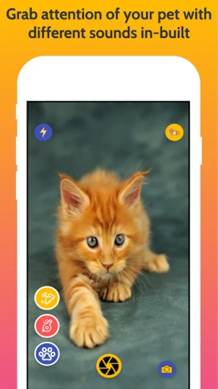 Cats Cam for Android - Download the APK from AppHuts