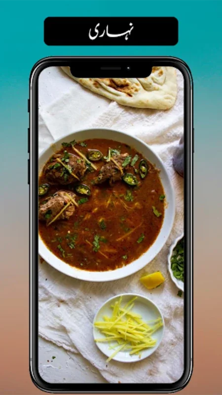 Pakistani Urdu Recipes for Android - Rich Culinary Experience