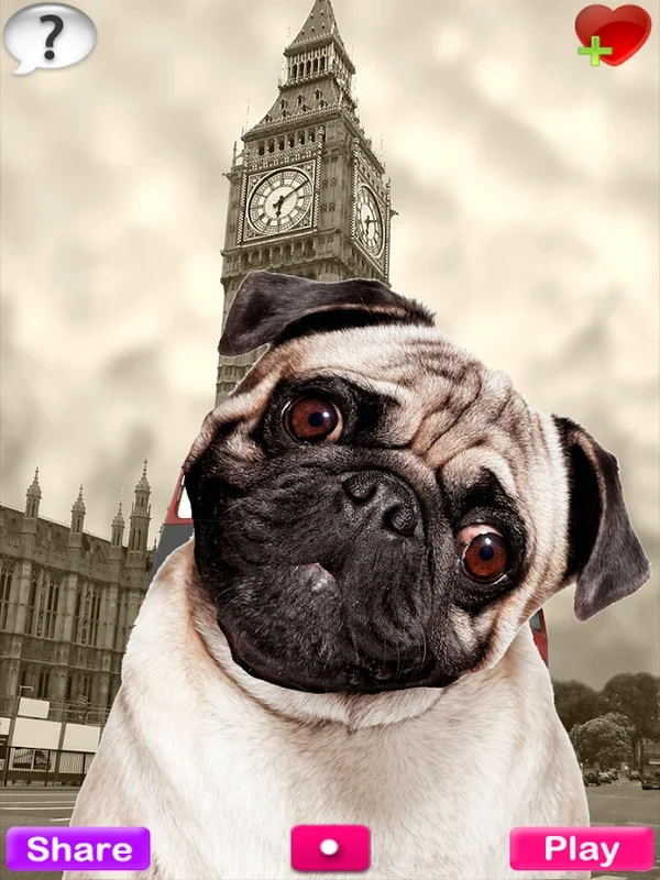 Talking Pug for Android - Fun Interactive Experience