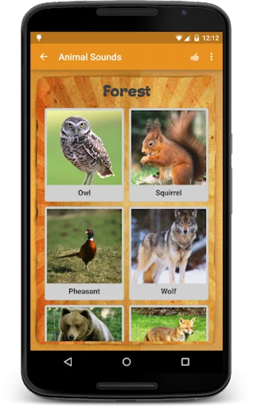 Animal Sounds for Android - Immersive Auditory Adventure