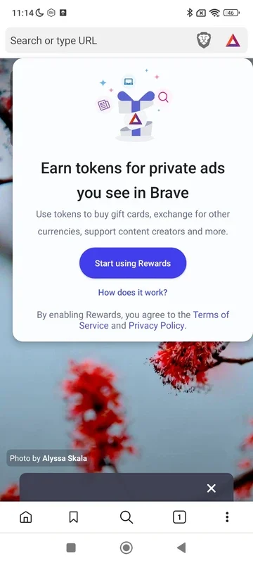 Brave Browser for Android - Download the APK from AppHuts