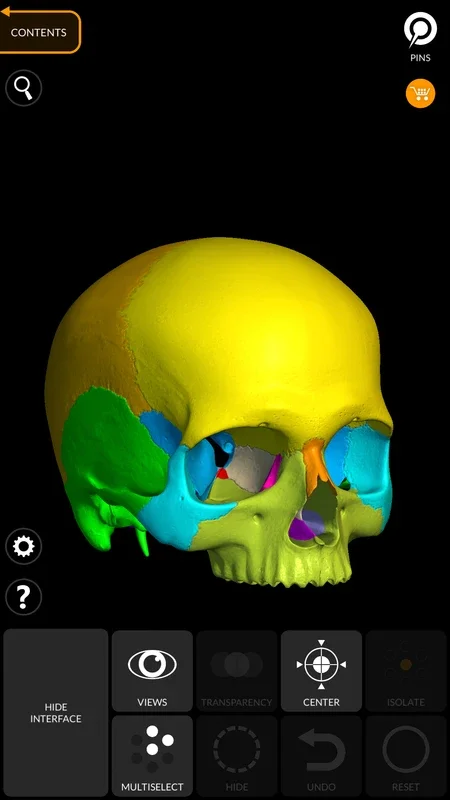 Skeleton 3D Anatomy for Android - In - Depth Skeleton Exploration