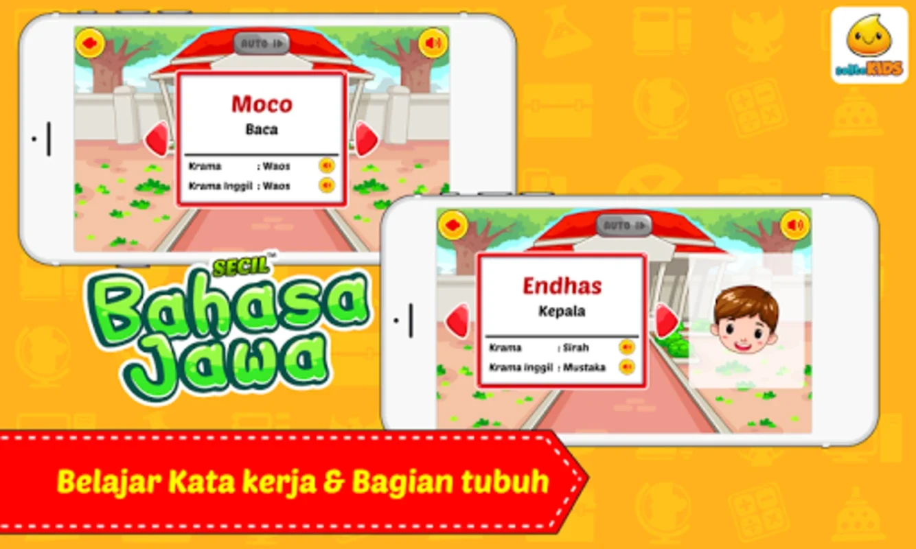 Belajar Bahasa Jawa + Suara for Android: Learn with Audio