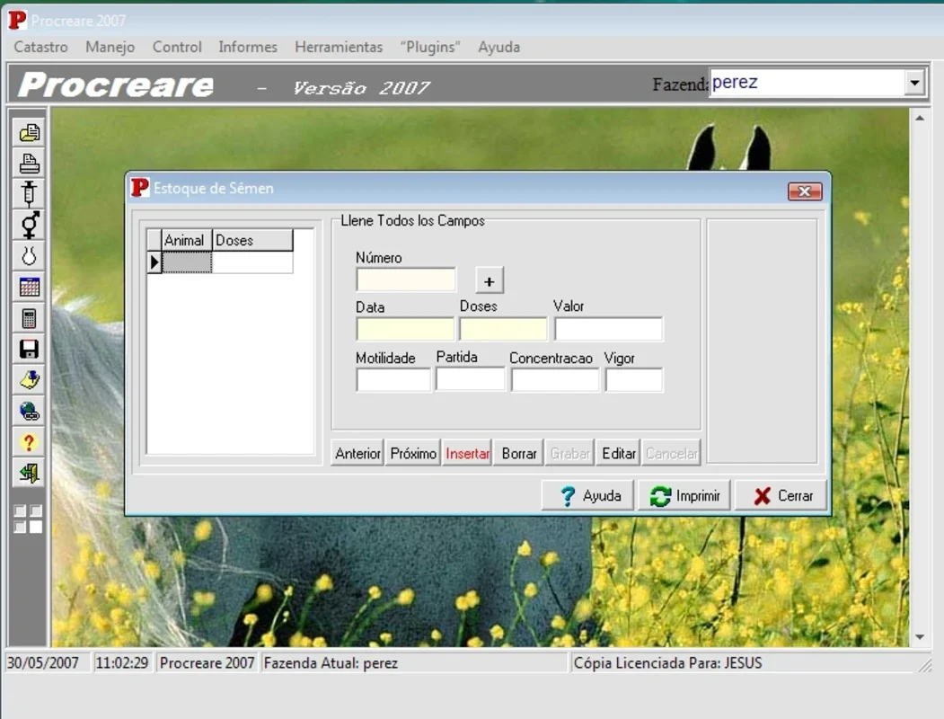 Procreare Rebanio for Windows - Valuable Functionality