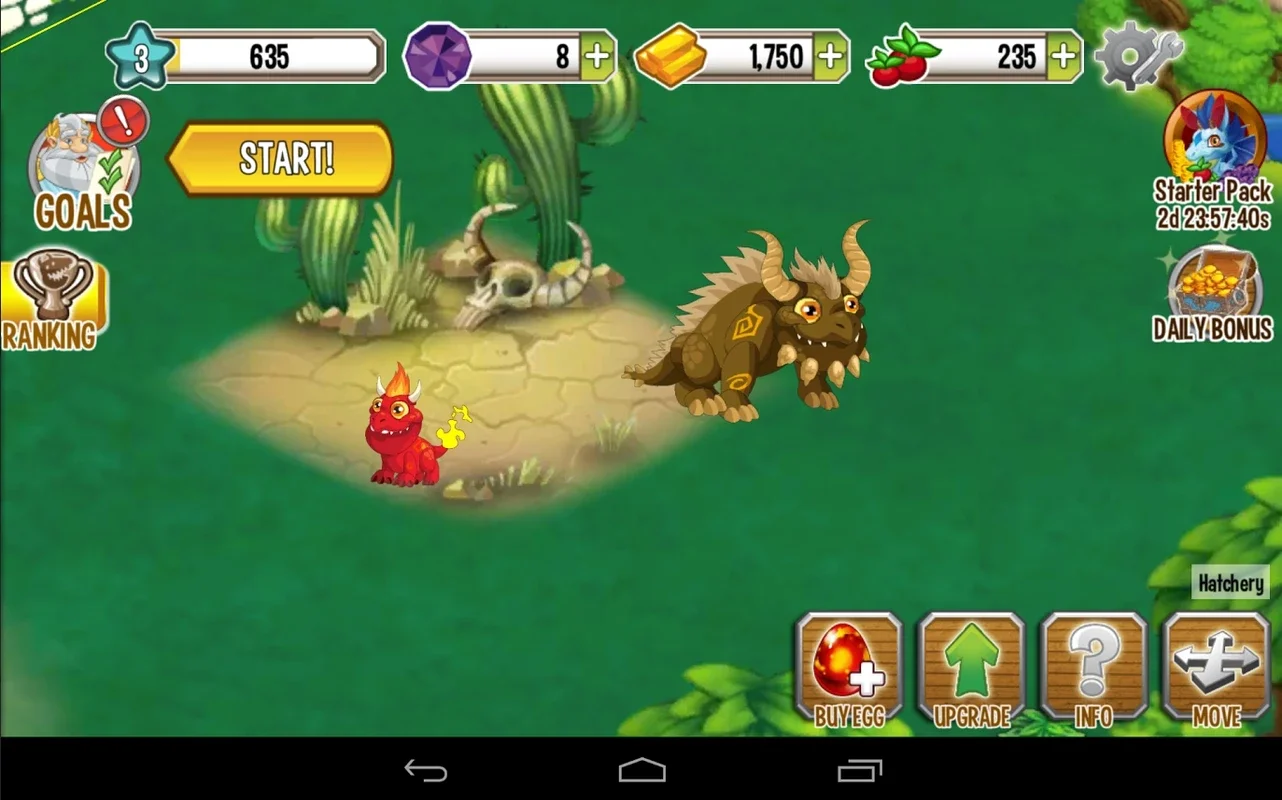 Dragon City Mobile for Android - Immerse in a Magical Dragon Realm