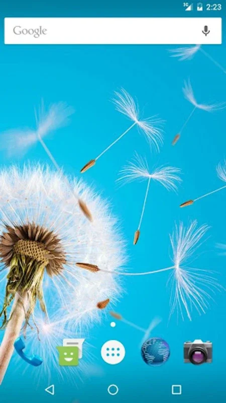 Wallpapers Dandelion for Android - Enhance Your Phone