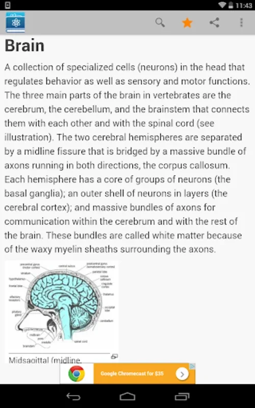 Science Dictionary by Farlex for Android - Explore Scientific Terms