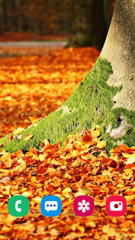 Autumn Wallpaper for Android - Enhance Your Device