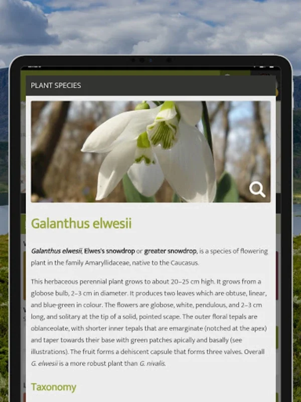 NatureSpots - Observe Nature on Android