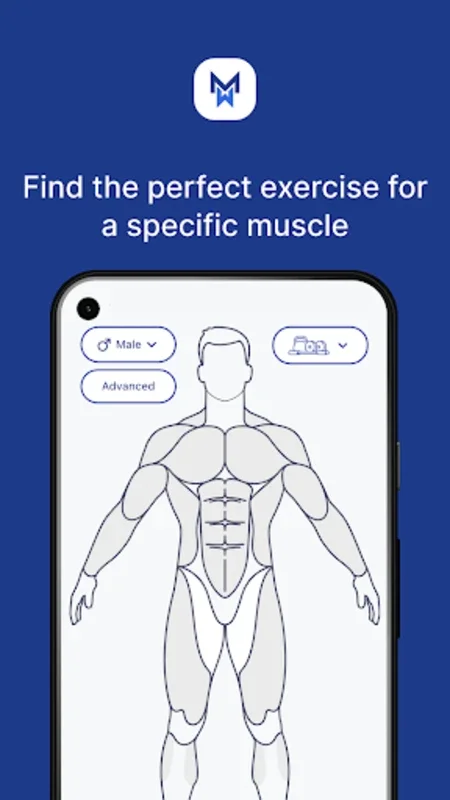 MuscleWiki for Android - Comprehensive Fitness App