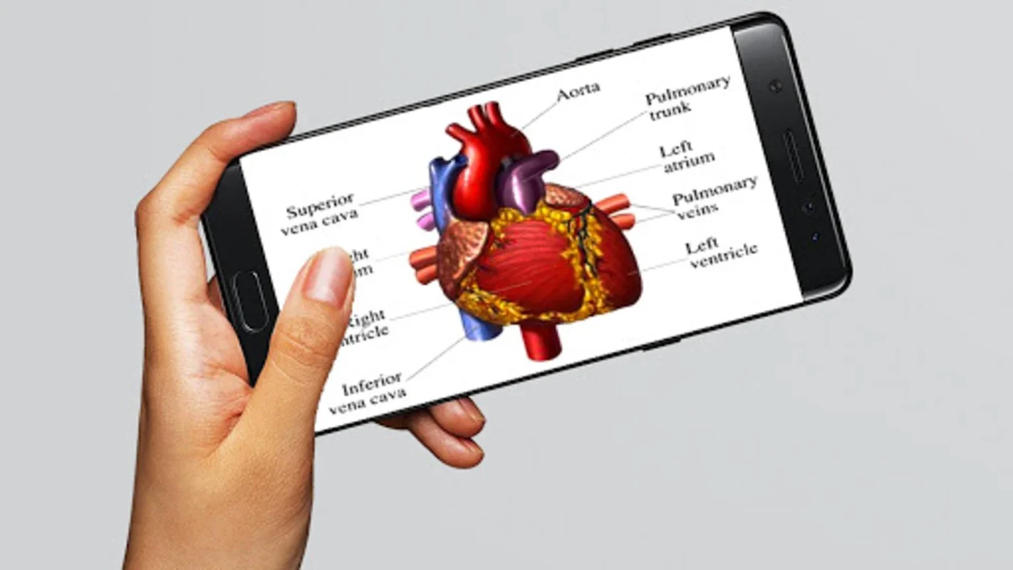 Human Anatomy And Physiology for Android: Enhance Your Knowledge