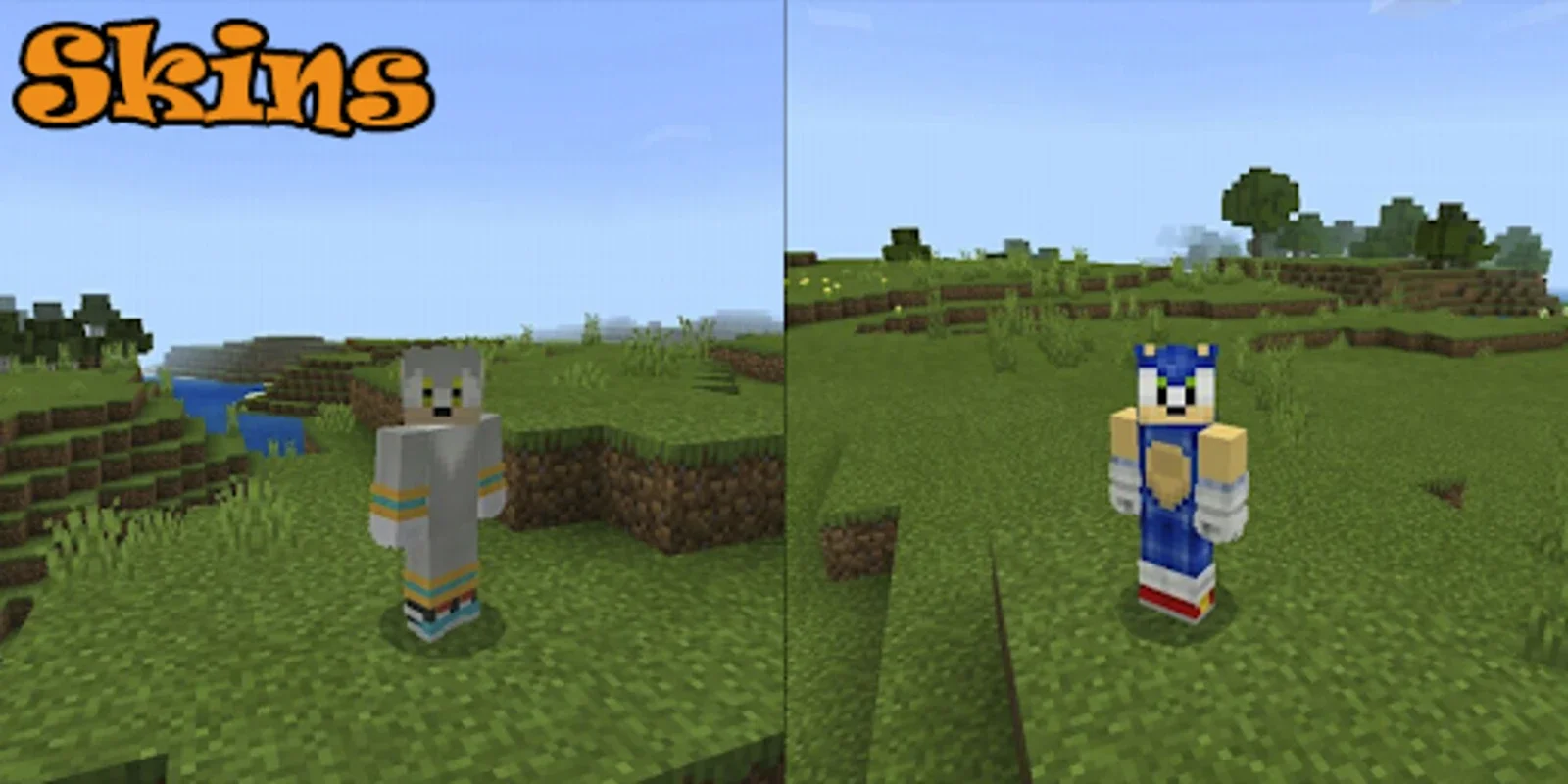 Sonic Skins for Android - Transform Minecraft PE