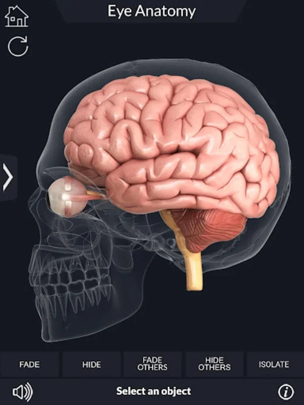 My Eye Anatomy for Android: Immersive 3D Learning