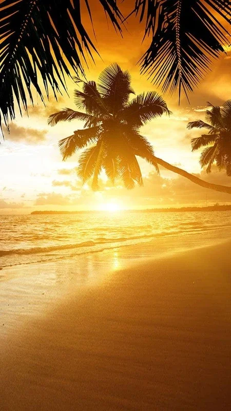 Beach Sunset Live Wallpaper for Android - Immerse in Serene Coastal Beauty