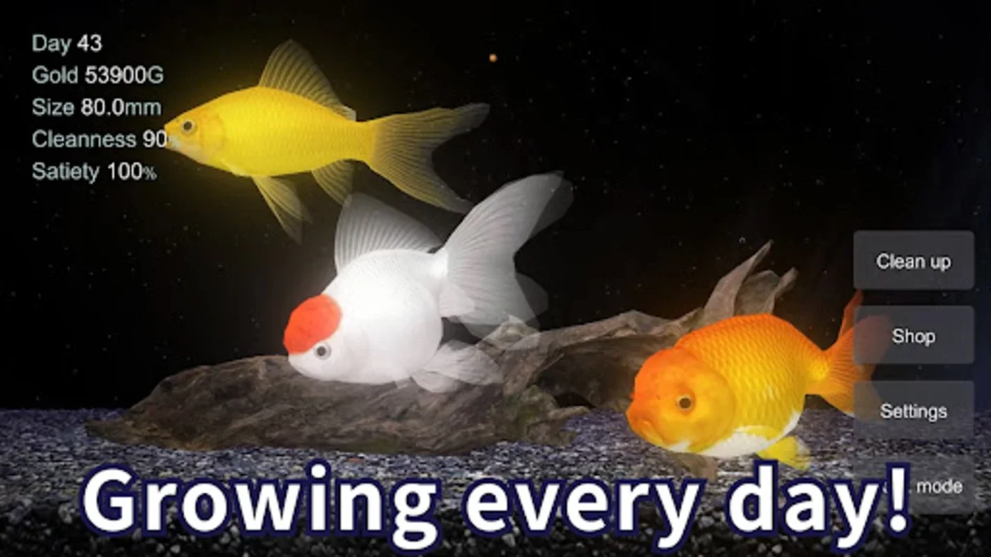 Goldfish 3D Relaxing Aquarium for Android - Download the APK from AppHuts