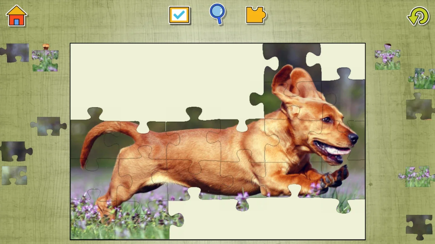 Dog Puzzles for Android - Download the APK from AppHuts