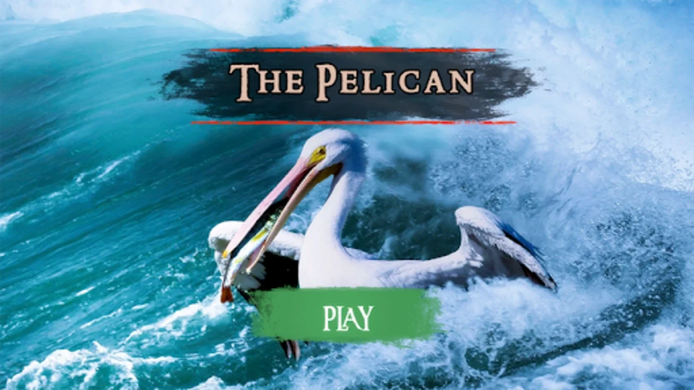 The Pelican for Android - Download the APK from AppHuts