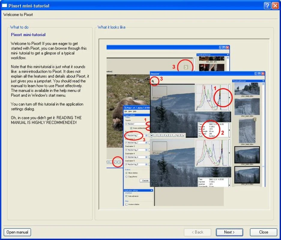 Pixort for Windows - Organize Photos Efficiently