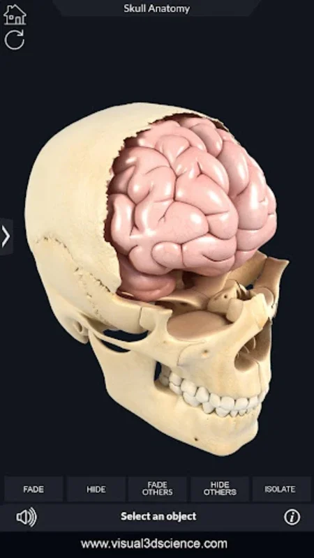 Skull Anatomy Pro. for Android: Immersive 3D Learning