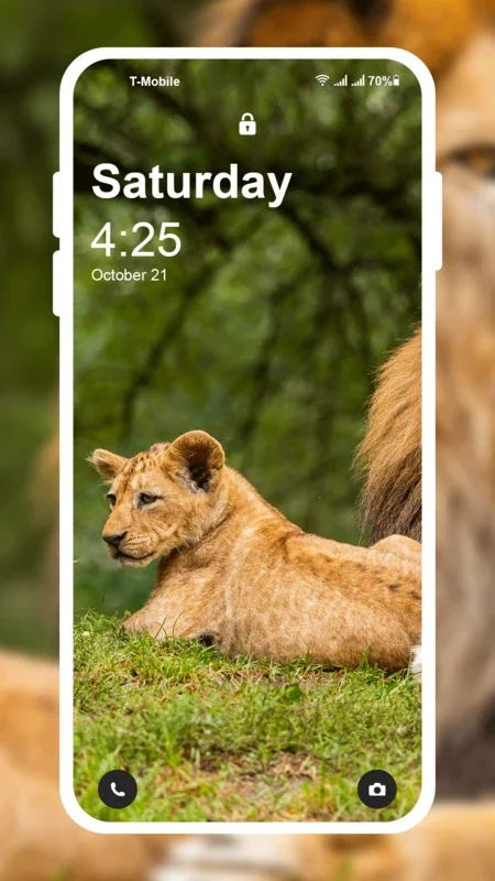 Lion HD Wallpaper for Android - Dazzling Images