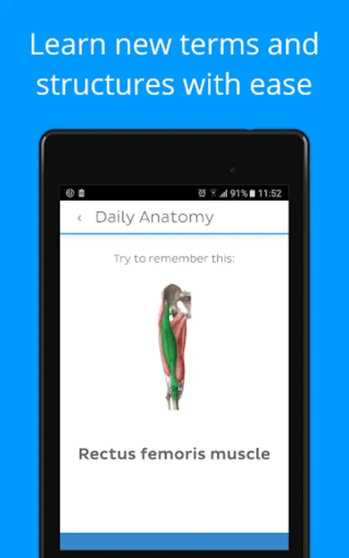 Daily Anatomy Flashcards for Android: Enhance Your Learning