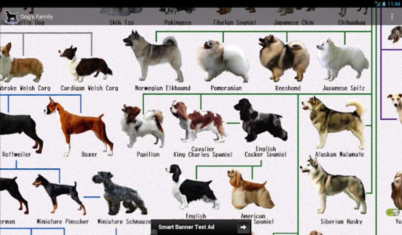 Dog Breeds for Android - Explore Detailed Canine Insights