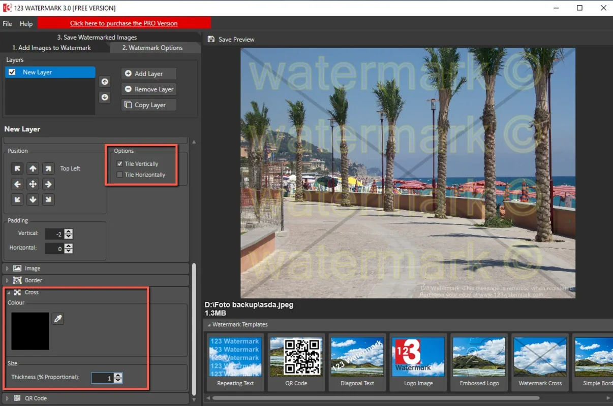 123 Watermark for Windows - Protect Your Images