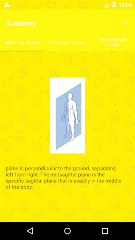 Anatomy for Android: Interactive Human Body Learning