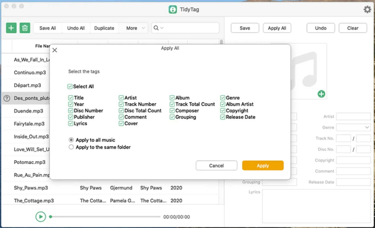 TidyTag Music Tag Editor for Mac: Organize Your Music