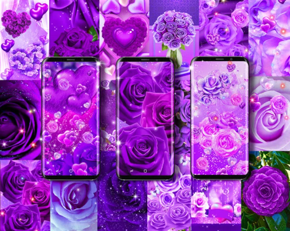 Purple Rose Live Wallpaper for Android: Enhance Your Screen