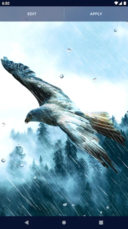 Eagle Live Wallpaper for Android - Enhance Your Device with HD Eagle Themes