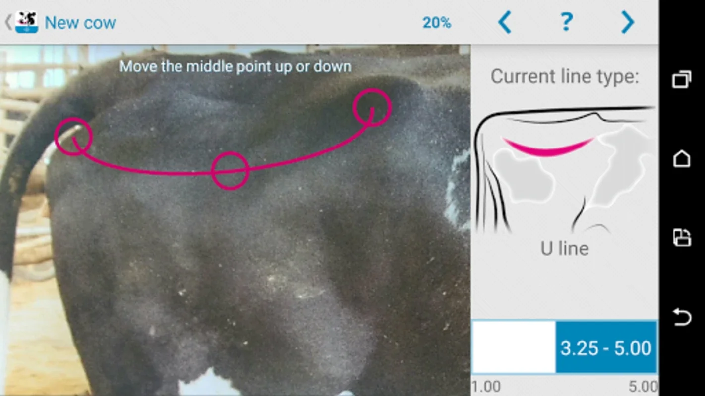 BCS Cowdition for Android - Assess Cow Conditions